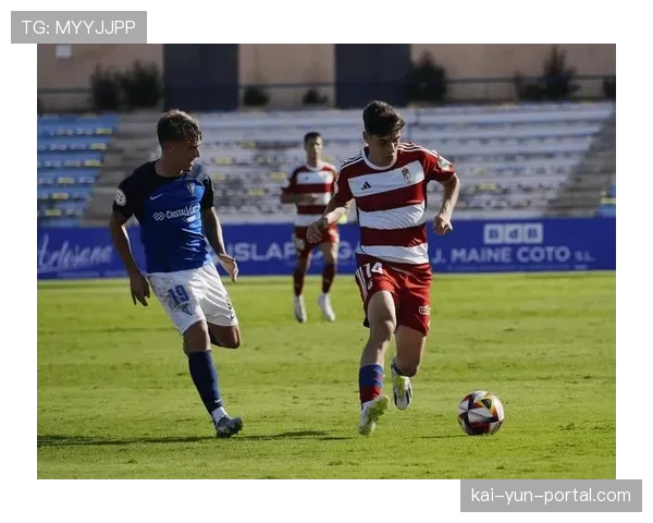 数据预测:奥萨苏纳对阵格拉纳达,保级生死战主队胜率超六成